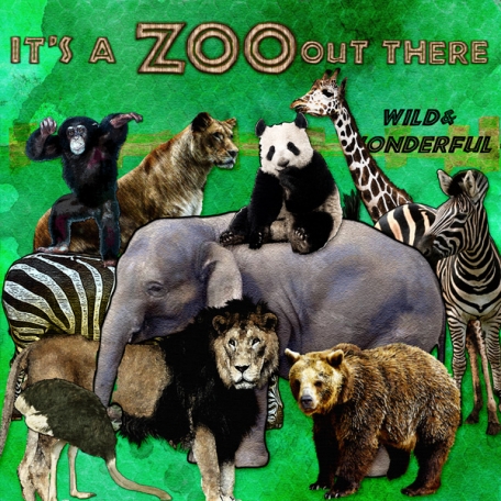 It's a zoo