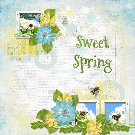 Sweet Spring 4