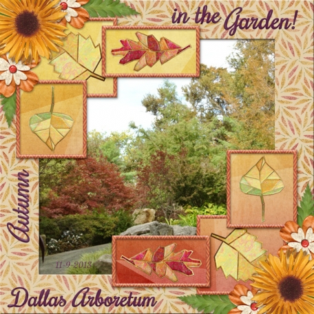 Autumn in the Garden! Dallas Arboretum