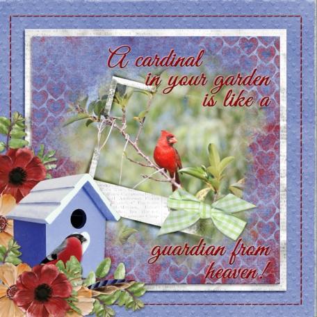 A cardinal in the garden is like a guardian from heaven!