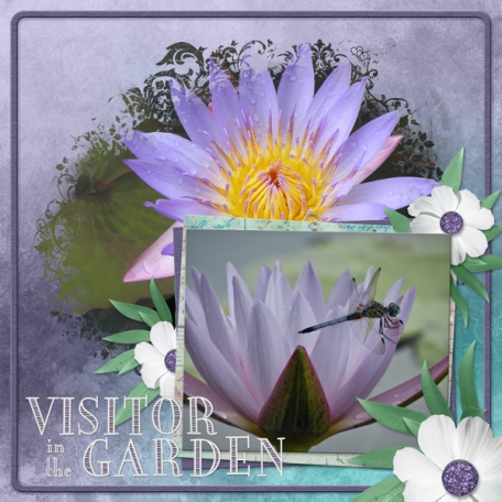 Visitor at the Garden (ADB Designs)