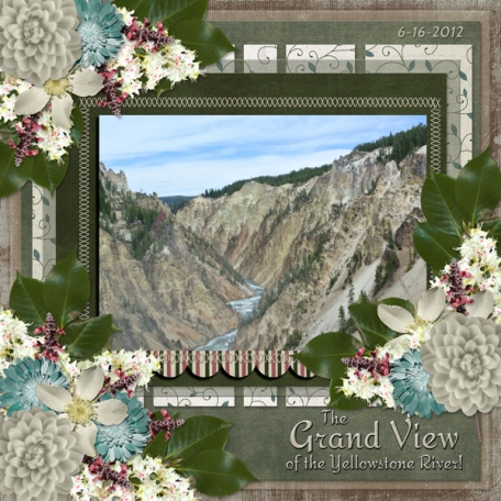The Grand View