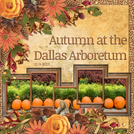 Autumn at the Dallas Arboretum (ads)