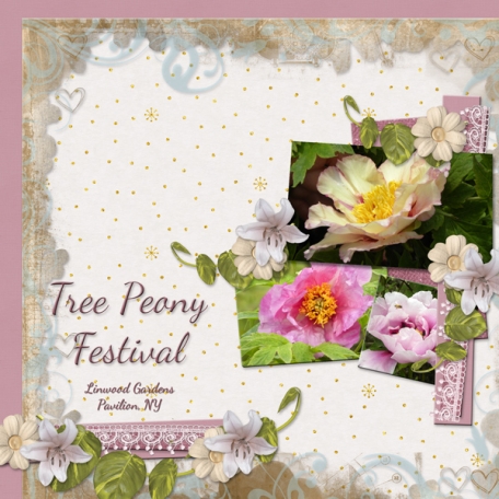 Tree Peony Festival (otfd)