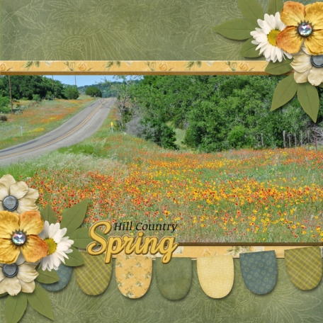 Hill Country Spring (SHER)