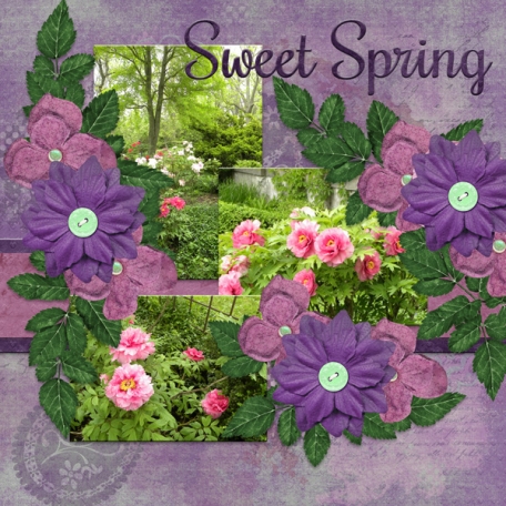 Sweet Spring (dfdd2)