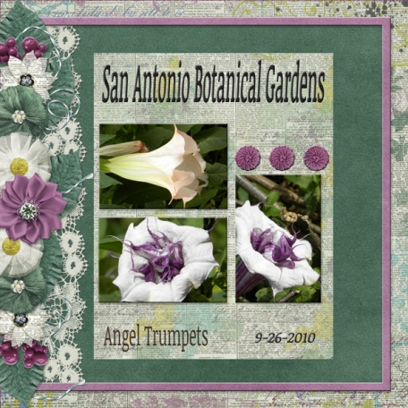 San Antonio Botanical Gardens  WLM 2019