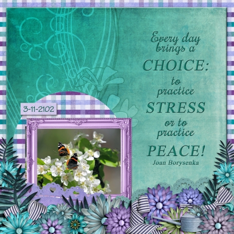Every day brings a CHOICE  (ADB)