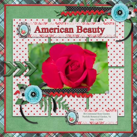 American Beauty (JDunn)