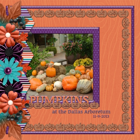 Pumpkins in the Dallas Arboretum (RMartin)