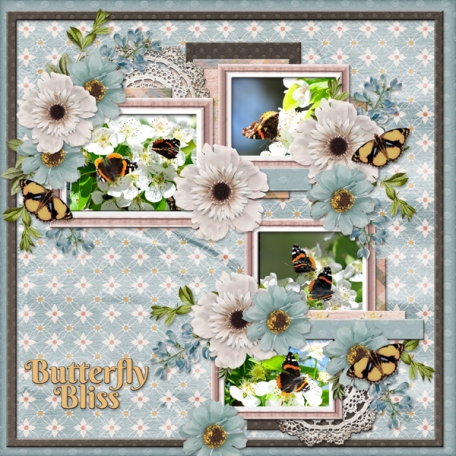 Butterfly Bliss (dfdd)