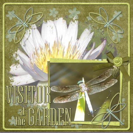 Visitor at the Garden (WD)