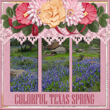 Colorful Texas Spring 