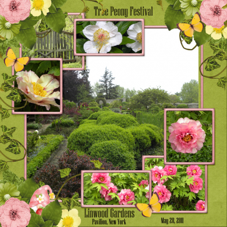 Tree Peony Festival (wd)