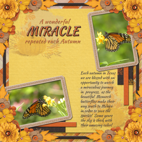 A wonderful MIRACLE repeated each Autumn (JDunn)