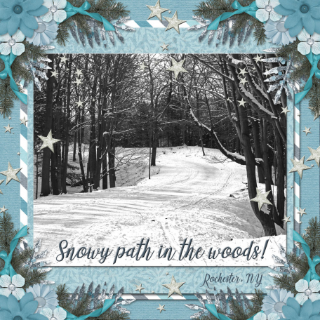 Snowy path in the woods (SVeldhoen)