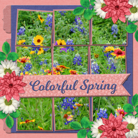 Colorful Spring (SCR)