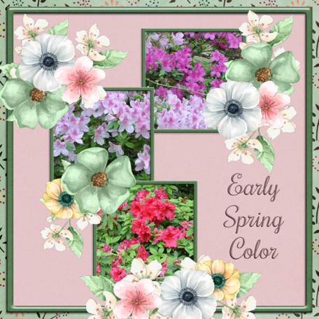 Early Spring Color (ADB)