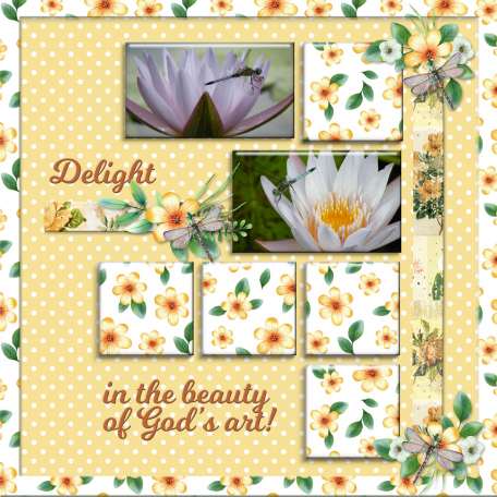 Delight in the beauty of God's art! - 13ds