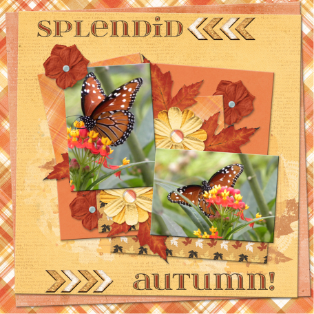 splendid autumn2...3cpjess