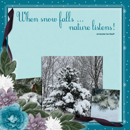 When snow falls...13pix