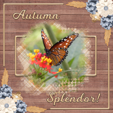 Autumn Splendor...3cpjess-2