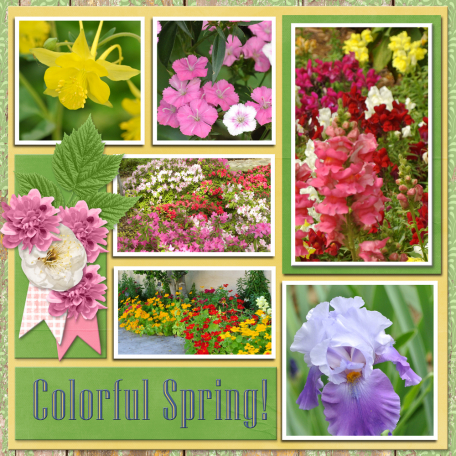 Colorful Spring-2...6scr