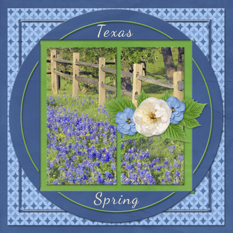 Texas Spring-b...6scr