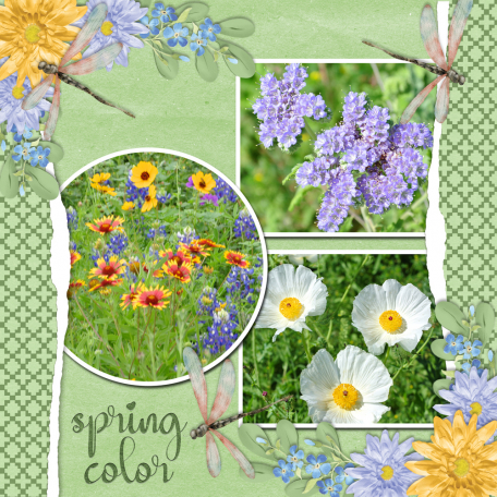 spring color...6scr