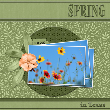 Spring in Texas-3...6scr