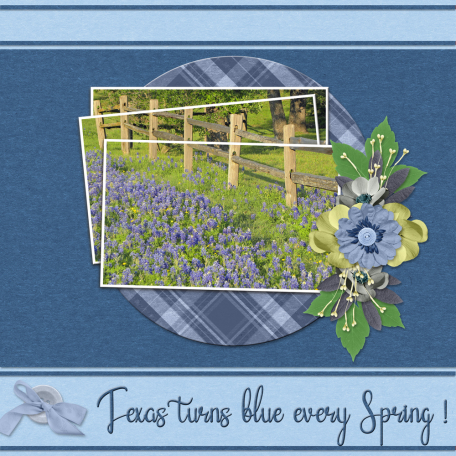 Texas turns blue each Spring...6scr