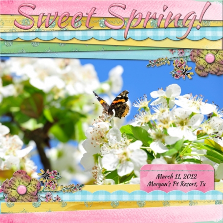 Sweet Spring 