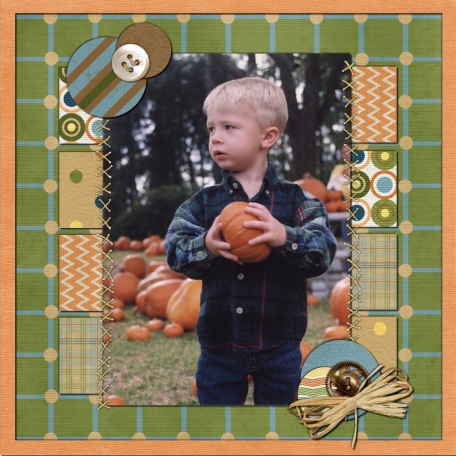 Pumpkin Patch Pictures