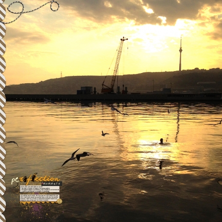 reflection perfection