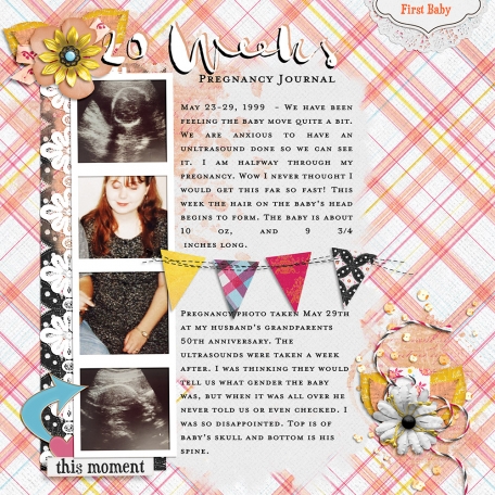 Pregnancy Journal: 20 Weeks Baby Boy 1999