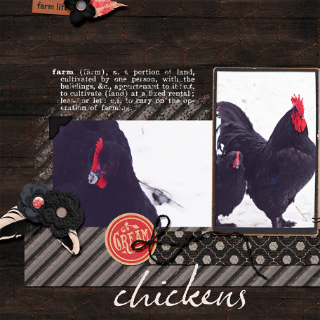 Chickens Winter Storm Izzy (2 page spread: Left)