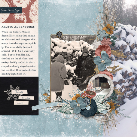 Winter Storm Elliot : Arctic Adventures