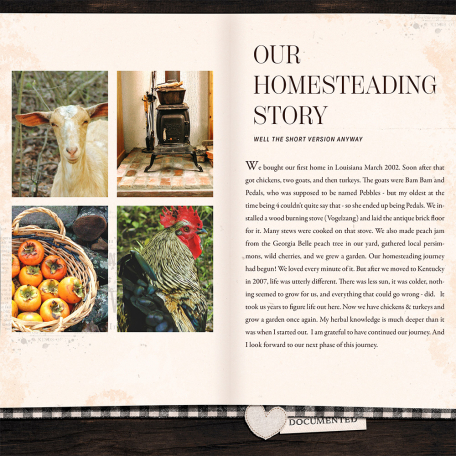 Our Homesteading Story