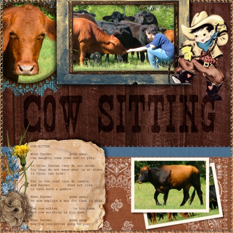 Cow Sitting