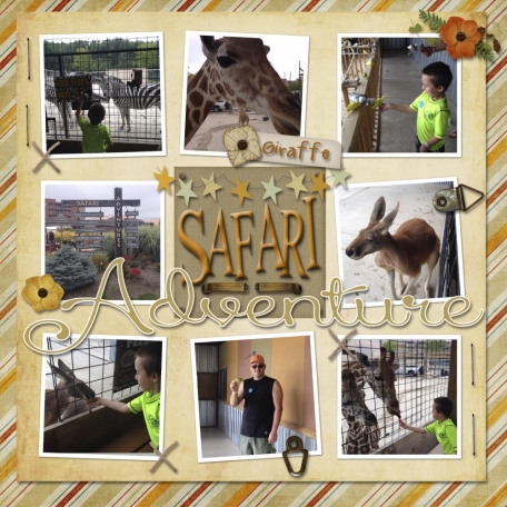 Kalahari Safari
