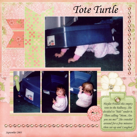 2003_09 Tote Turtle