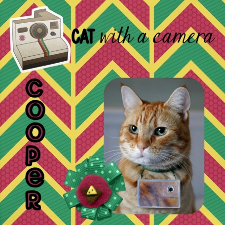 Famous Cats: Cooper