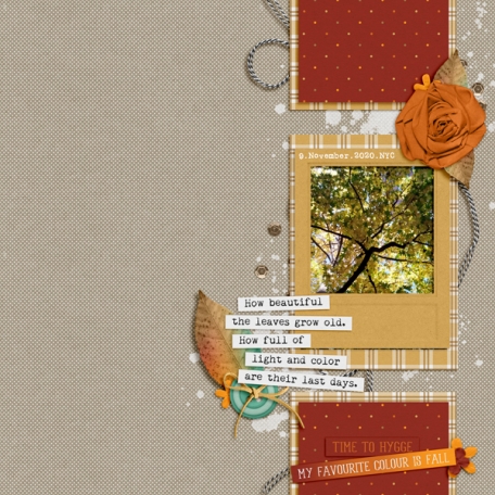 Scraplift: January 2021 - My Fave Colour is Fall...