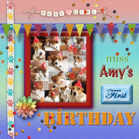 Miss Amy's first Birthday