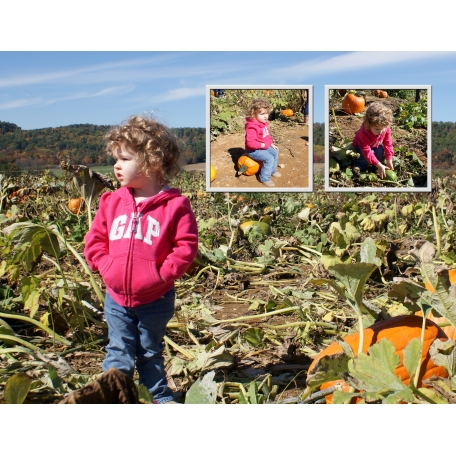 Pumpkin Patch