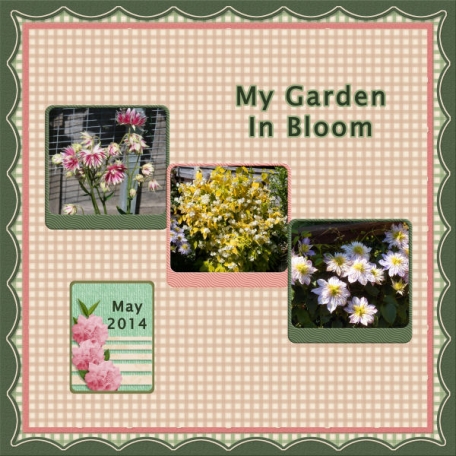 My Garden in Bloom