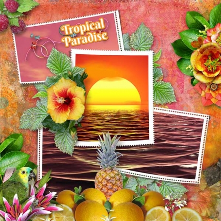 Tropical Paradise