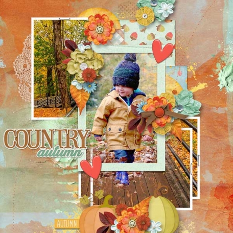 Country Autumn