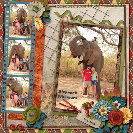 Tanya at Elephant Whispers