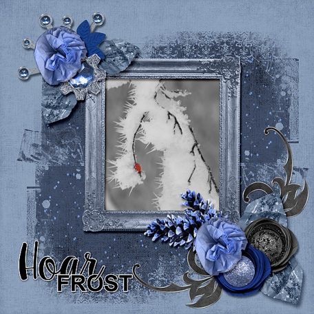 Hoar Frost